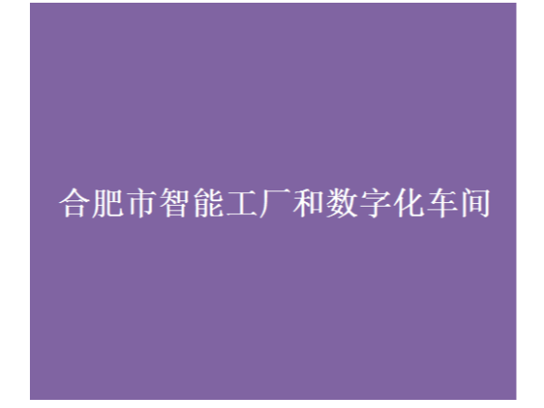 合肥市智能工廠和數字化車間認定條件